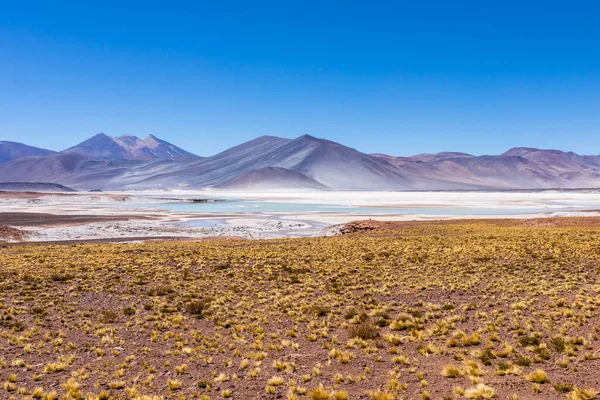 Desierto Atacama Chile Salar Aguas Calientes Lago Tuyacto América Del — Foto de Stock