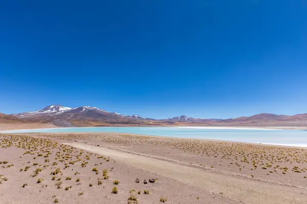 Desierto Atacama Chile Salar Aguas Calientes Lago Tuyacto América Del —  Fotos de Stock