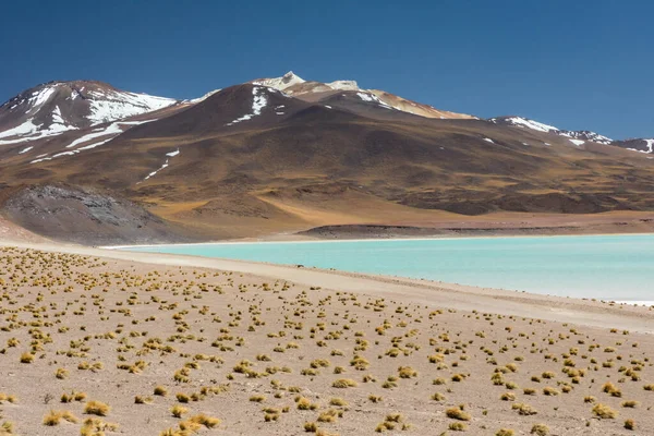 Pustynia Atacama Chile Salar Aguas Calientes Jezioro Tuyacto Ameryka Południowa — Zdjęcie stockowe