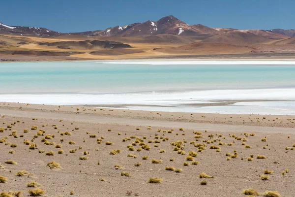 Desierto Atacama Chile Salar Aguas Calientes Lago Tuyacto América Del — Foto de Stock