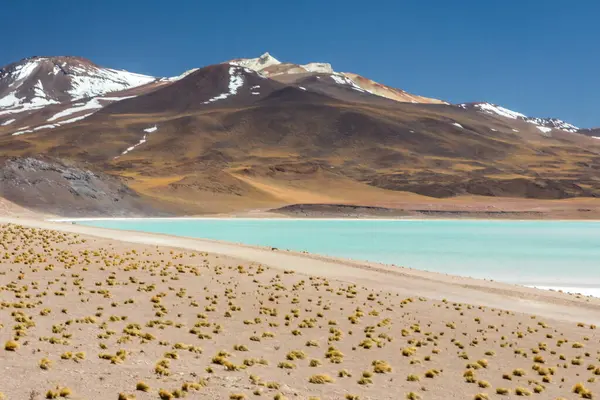 Pustynia Atacama Chile Salar Aguas Calientes Jezioro Tuyacto Ameryka Południowa — Zdjęcie stockowe