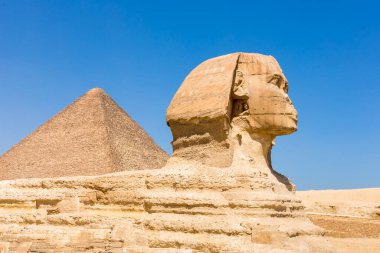 Sfenks ve Piramit, Kahire, Mısır.