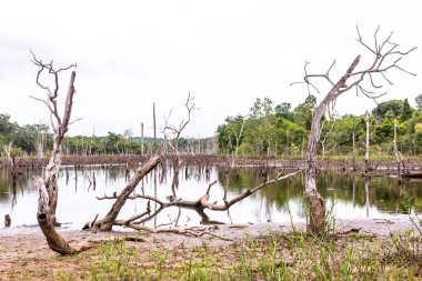 Chapada das Mesas in Maranhao Brazil.
