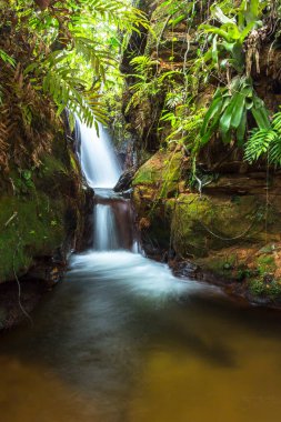 Chapada das Mesas in Maranhao Brazil.