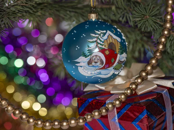 Weihnachtskugel Mit Hundezwinger Auf Dem Fichtenzweig Mit Perlen Und Geschenkbox — Stockfoto