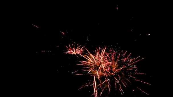 Fuegos artificiales múltiples — Vídeos de Stock