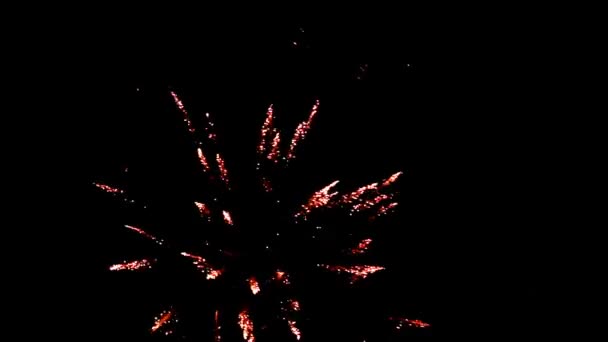 Vuurwerk in donkere hemel — Stockvideo