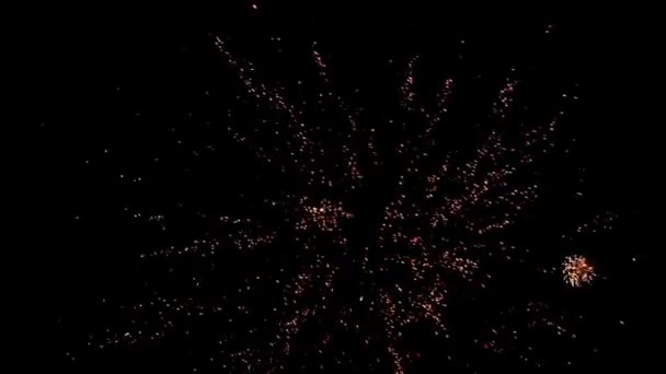 Fireworks festival — Stock Video