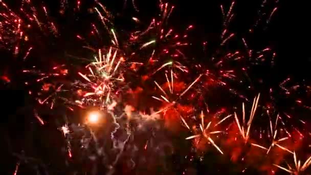 Prachtige kleurrijke vuurwerk — Stockvideo