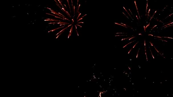 Holiday fireworks display — Stock Video