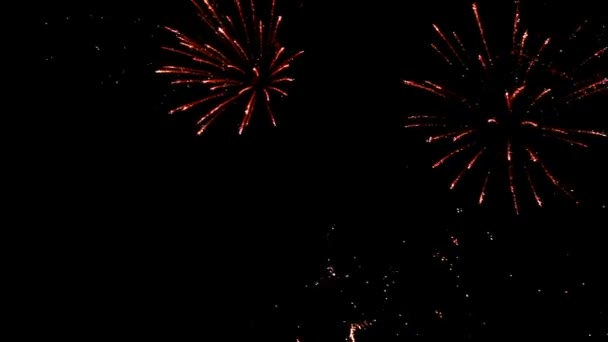 Affichage feux d'artifice vacances — Video