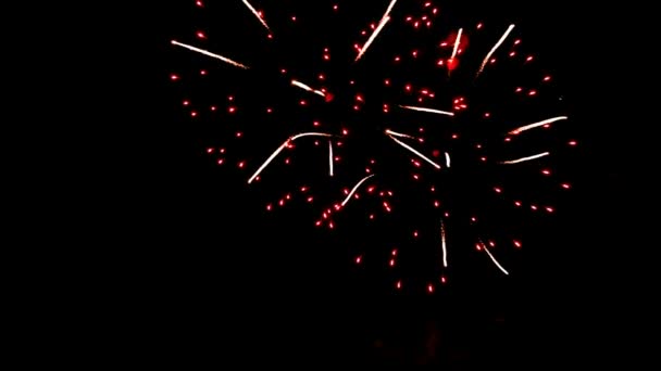 Fogos de artifício espetaculares — Vídeo de Stock