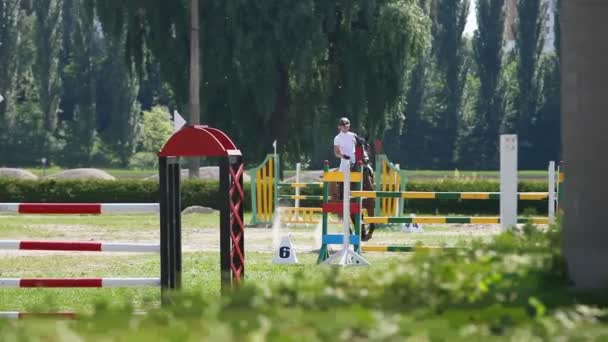 Mulher a cavalo salta sobre obstáculos — Vídeo de Stock