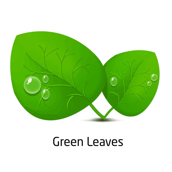Grüne Blätter und Tropfen Regen — Stockvektor