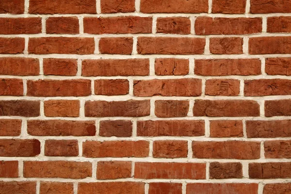 The background a brick wall — Stock Photo, Image