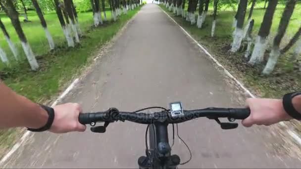 Поездка на горном велосипеде от первого лица руки колесо и дорожная пыль — стоковое видео