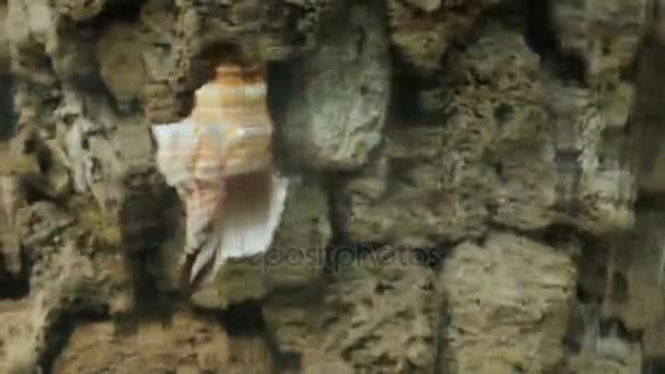 Wodospad streszczenie kamienie rock powłoki — Wideo stockowe