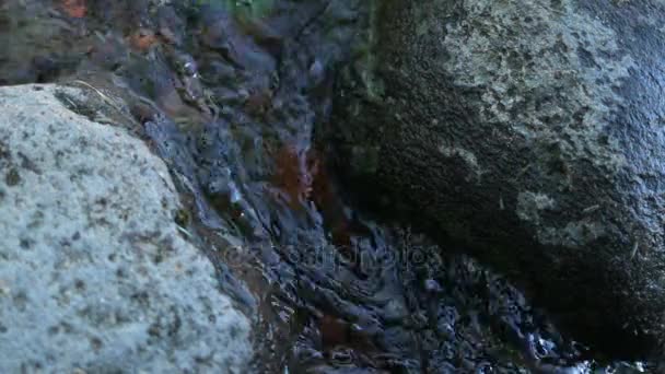 Über Wasser zwischen Steinen Bach — Stockvideo