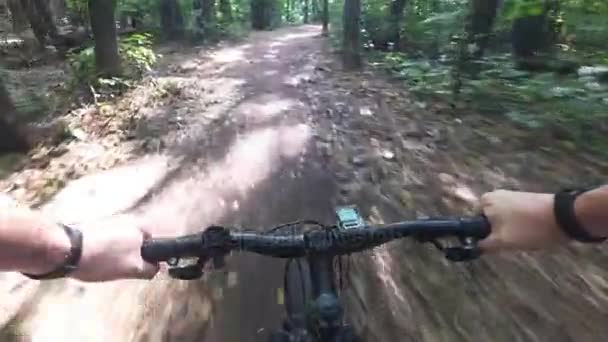 Ciclismo na estrada florestal em primeira pessoa — Vídeo de Stock