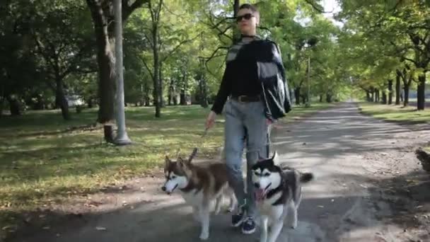 Model läuft mit Hunden im Park — Stockvideo