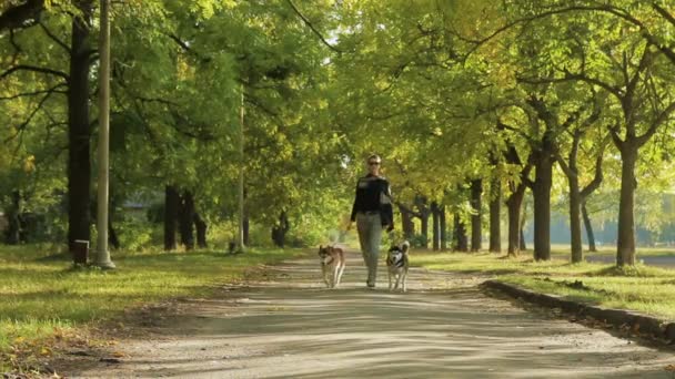 Девушка-модель гуляет в парке с собаками — стоковое видео