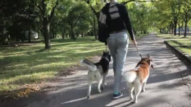 Köpeklerle parkta yürüyen kız modeli