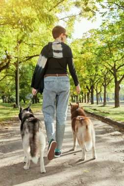 İki köpek Husky parkta yürüyüş ile genç kız