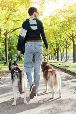 İki köpek Husky parkta yürüyüş ile genç kız