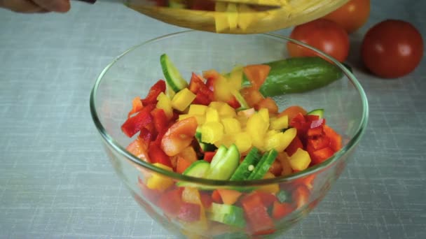 Cook giet in een kom salade ingrediënten — Stockvideo