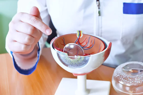 Oftalmoloji oculus örnek portre