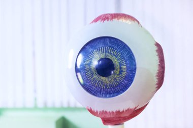 Oftalmoloji oculus örnek portre