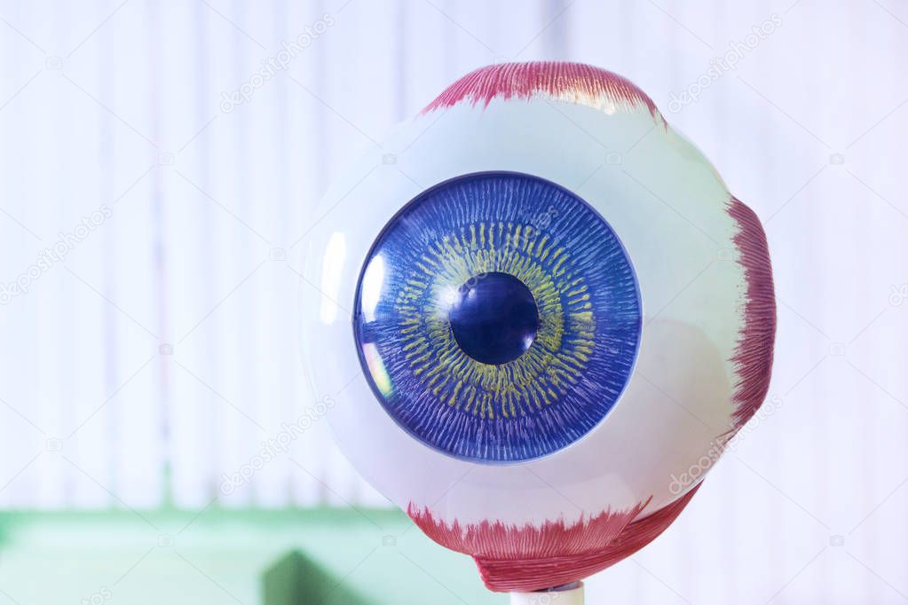Ophthalmology oculus sample closeup