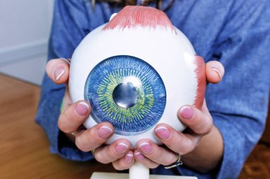 Oftalmoloji oculus örnek portre