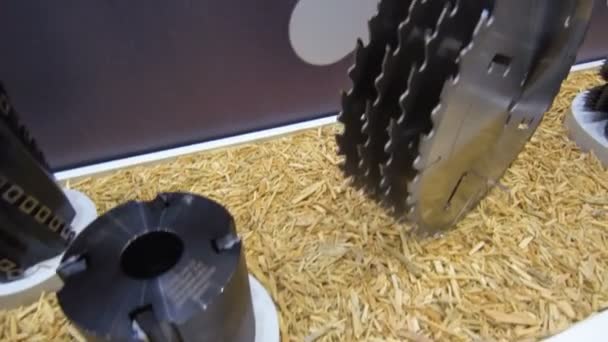 Different types of saws for cutting wood. — Stockvideo