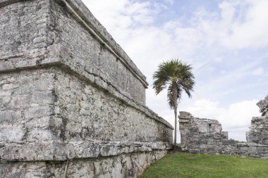 Tulum, Meksika için Archaegeological Harabeleri