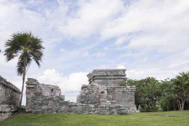 Tulum, Meksika için Archaegeological Harabeleri