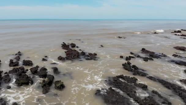 無人機から取られた海の海岸近くを飛んでいるカモメ — ストック動画