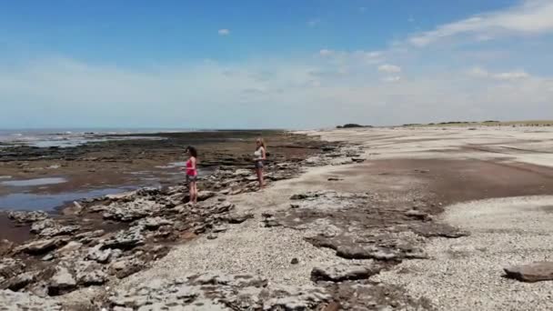 Dwie Kobiety Wybrzeżu Obserwujące Latające Wokół Nich Mewy Widziane Drona — Wideo stockowe