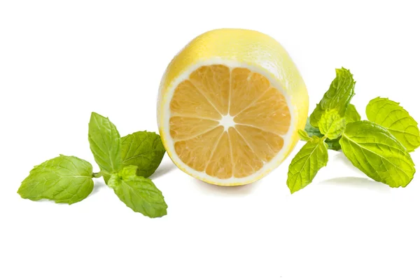 Limón fresco sobre fondo blanco — Foto de Stock