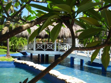 Ağaçlar avuç içi. Havuzu. Sazdan çatılı evi.