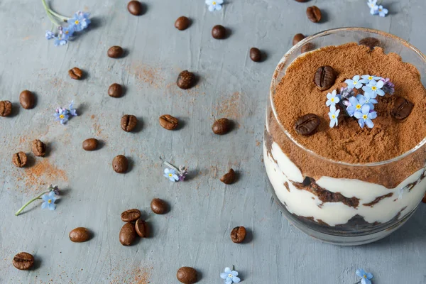 Tiramisu bir cam, mavi çiçekler korun. Kahve çekirdekleri gri arka plan üzerinde. Seçici odak. Kopya alanı.