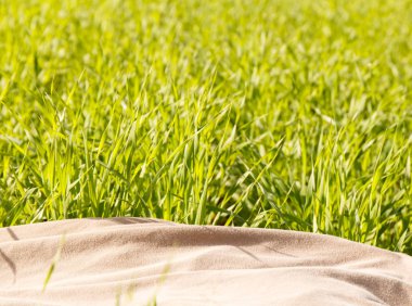 Taze ot tarafından mükemmel bir yeşil arka plan