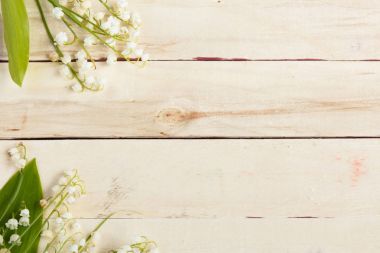 Hafif ahşap arka plan. Çiçek lilyum vadi. Metin için yer.