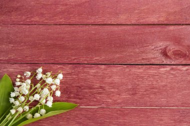 Kırmızı ahşap arka plan. Çiçek lilyum vadi. Metin için yer.