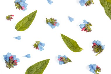 Metin, düz için boş bir alan ile çiçek arka plan yattı