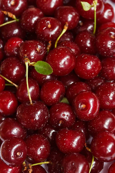 Background of ripe cherries. Selective focus. — Stock Photo, Image