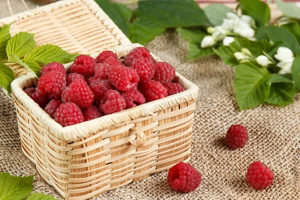 Fresh raspberries in a wicker box and honey, green leaves