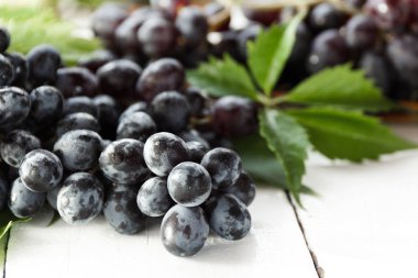 Olgun karanlık üzüm yaprakları, beyaz arka plan ile. Selectiva odak.