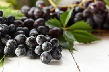 Olgun karanlık üzüm yaprakları, beyaz arka plan ile. Selectiva odak.