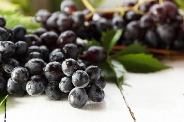 Olgun karanlık üzüm yaprakları, beyaz arka plan ile. Selectiva odak.